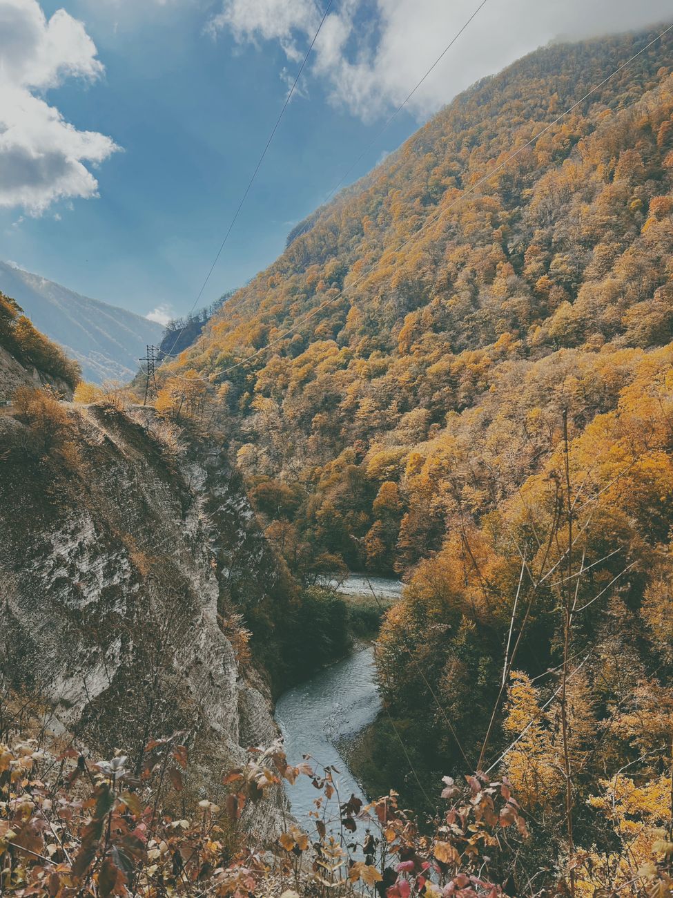 Gold forest stream at autumn